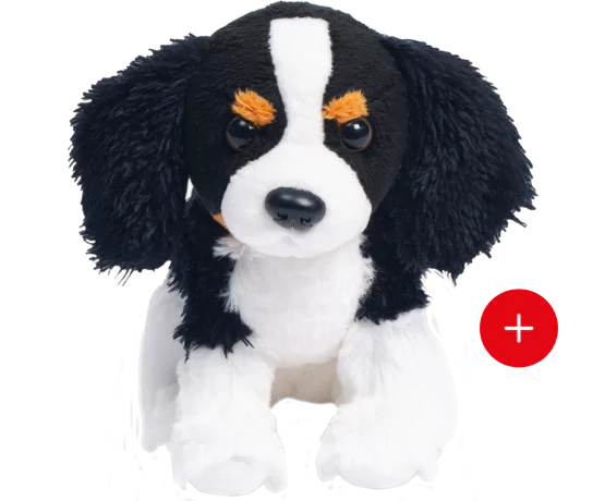 Le cavalier king charles