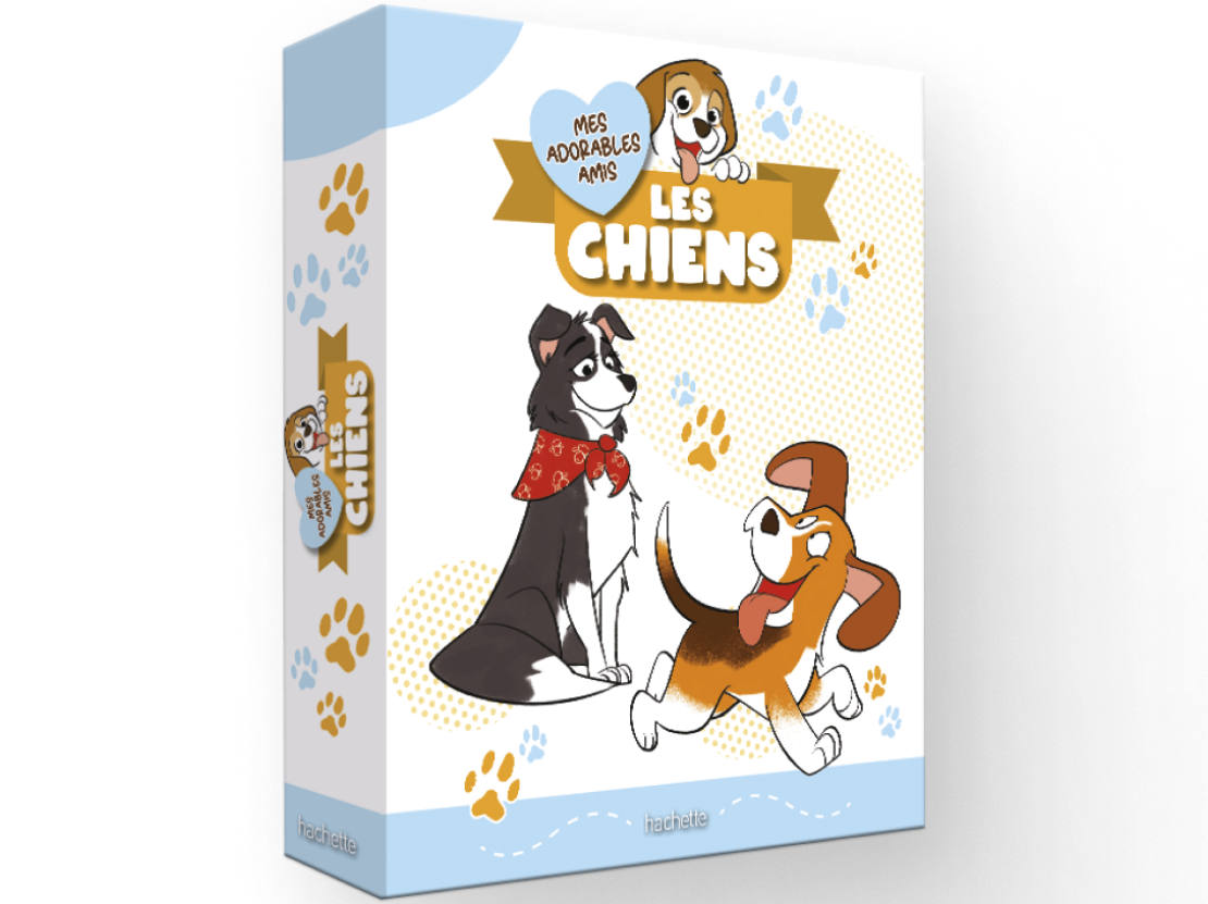 Les classeurs de ta collection