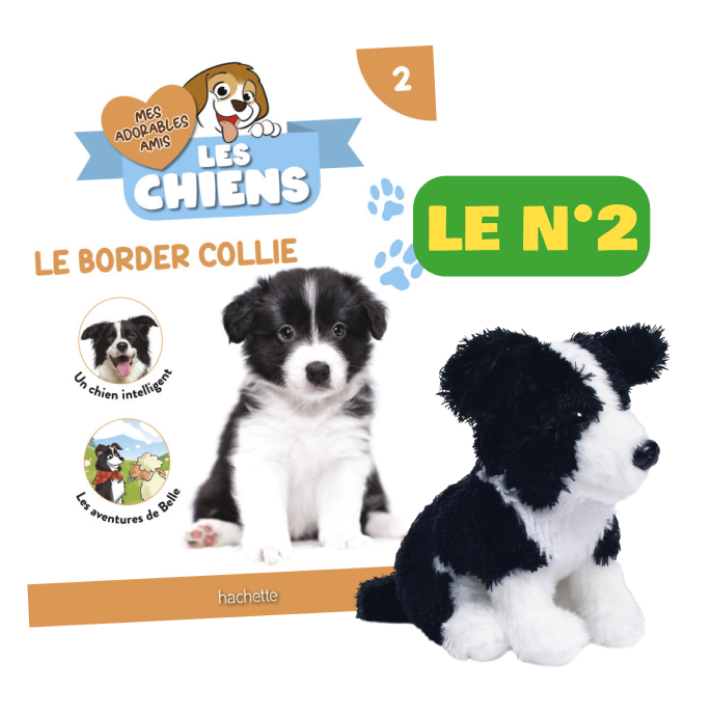 Le N°2 : Le fascicule + la peluche Border Collie